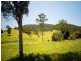 Maleny QLD 4552