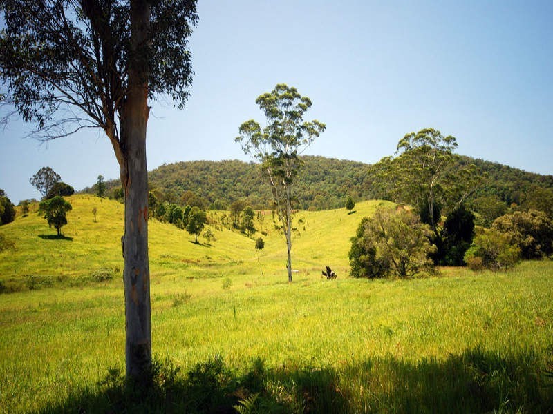 Maleny QLD 4552