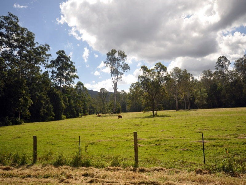 Maleny QLD 4552