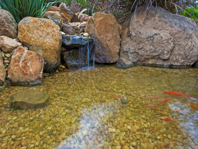 423 Main Western Road, Tamborine Mountain QLD 4272