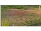 Lot 31 Welch’s Road, Wongawallan QLD 4210