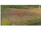 Lot 31 Welch’s Road, Wongawallan QLD 4210