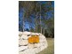 Lot 31 Welch’s Road, Wongawallan QLD 4210