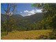 Wongawallan QLD 4210