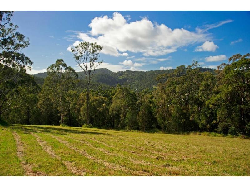 Wongawallan QLD 4210