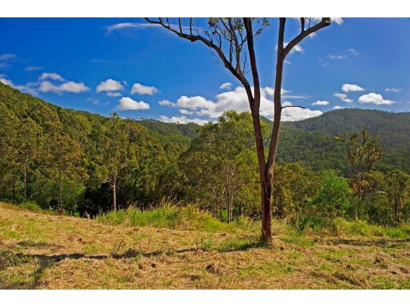 Wongawallan QLD 4210