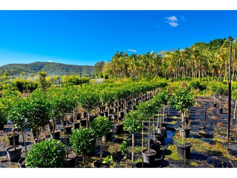 Clagiraba QLD 4211