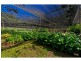 Clagiraba QLD 4211