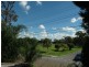 Norman Park QLD 4170