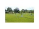 Collombatti NSW 2440