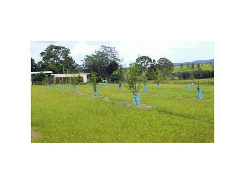 Collombatti NSW 2440