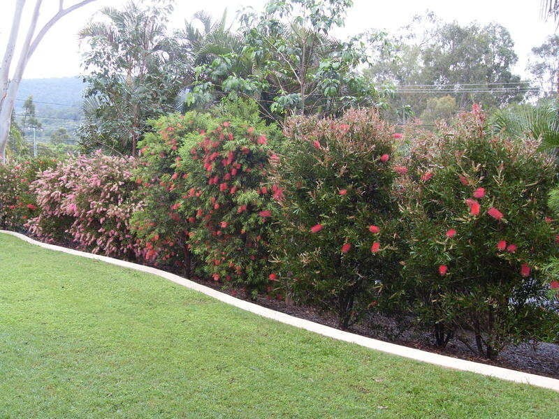 7 Pascoe Road, Ormeau QLD 4208