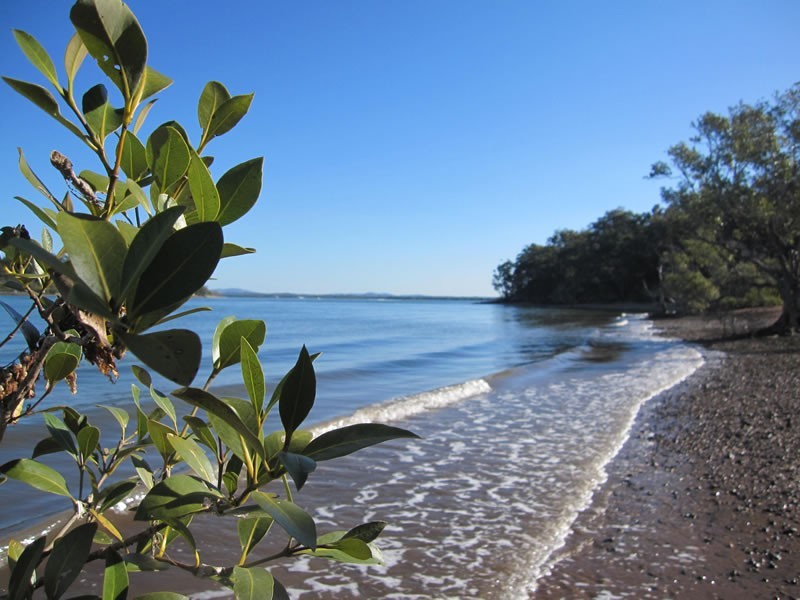 8 Citron Street, Macleay Island QLD 4184