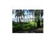 7 Granadilla Street, Macleay Island QLD 4184