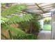 38 McFarland Street, Bacchus Marsh VIC 3340