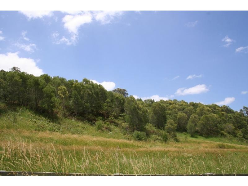 Lot 34 Ellen Grant Drive, Willow Vale QLD 4209
