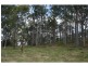 824 Beaudesert Beenleigh Road, Wolffdene QLD 4207