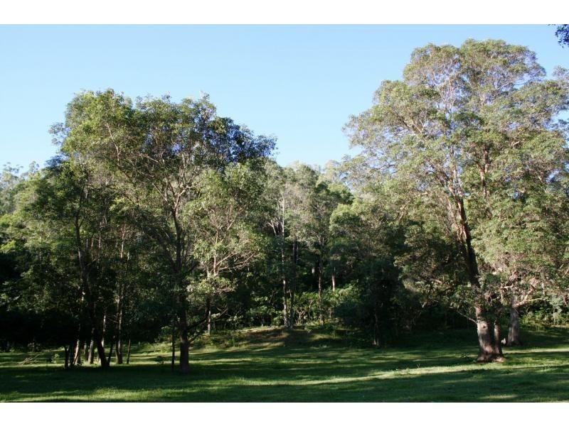 Cedar Creek QLD 4207