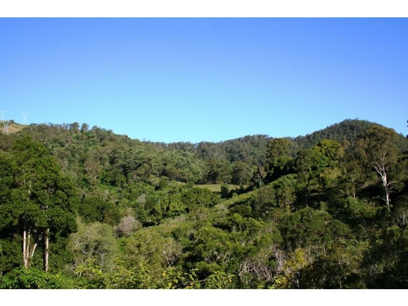 Cedar Creek QLD 4207