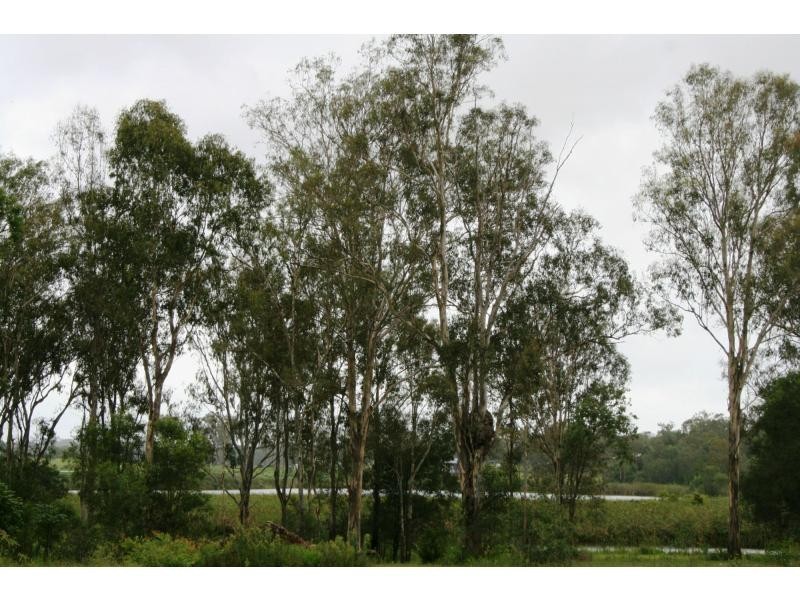 48-52 Lochview Court, Tamborine QLD 4270