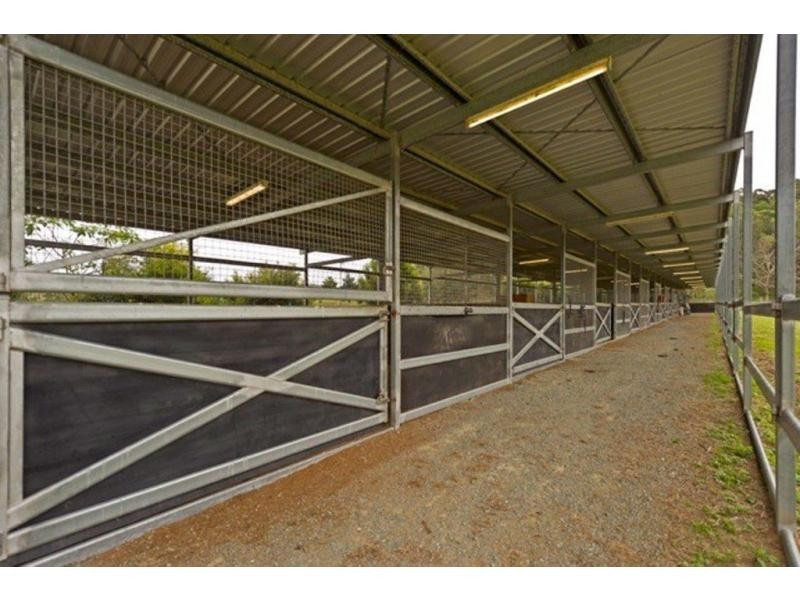 Cedar Creek QLD 4207