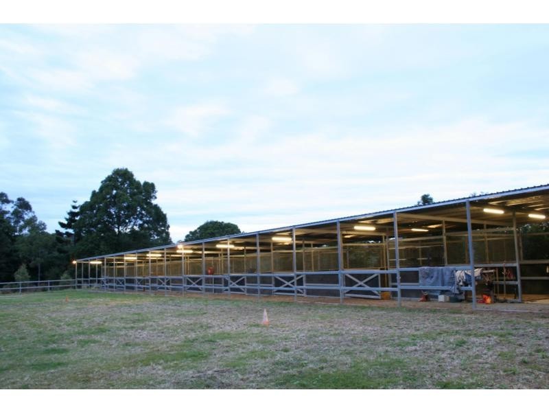 Cedar Creek QLD 4207