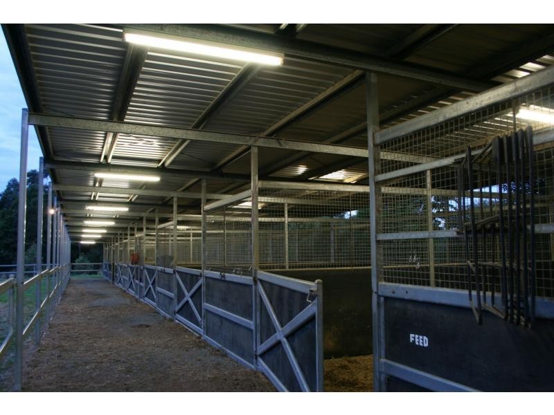 Cedar Creek QLD 4207