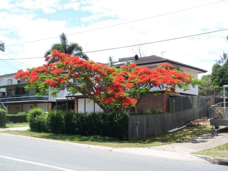 54 Logan Street, Beenleigh QLD 4207