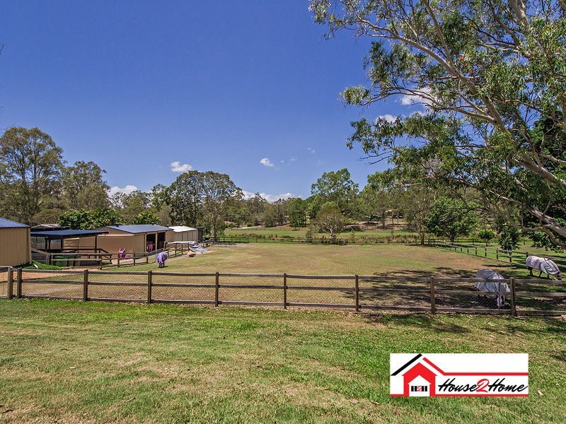 14 Dandaloo Court, Pimpama QLD 4209