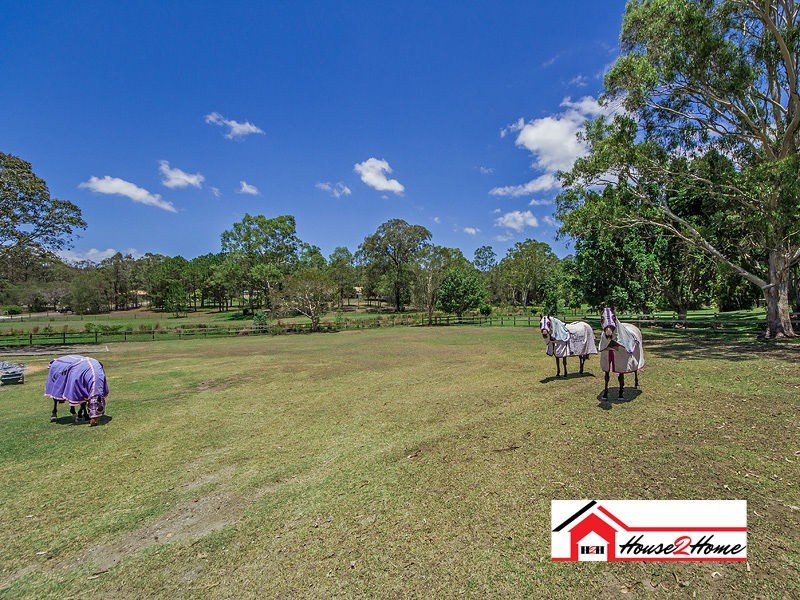 14 Dandaloo Court, Pimpama QLD 4209