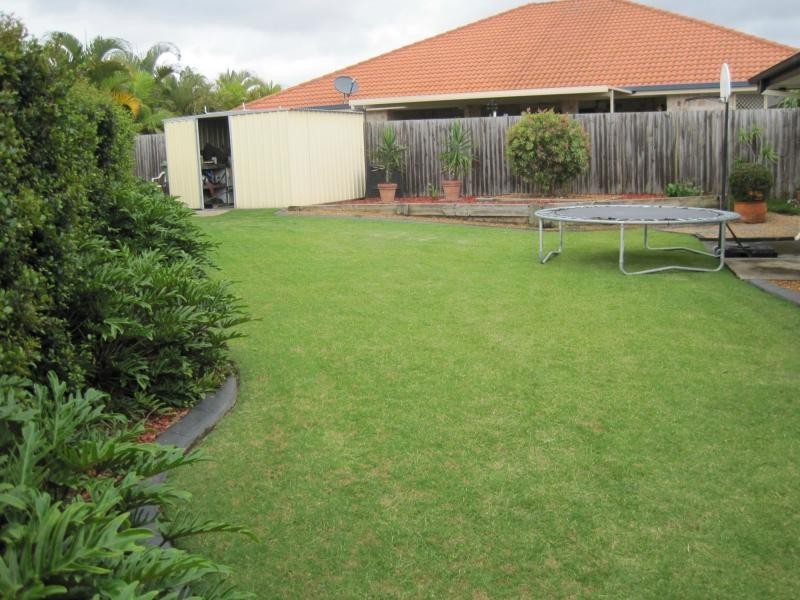 11 Caffrum Court, Ormeau QLD 4208
