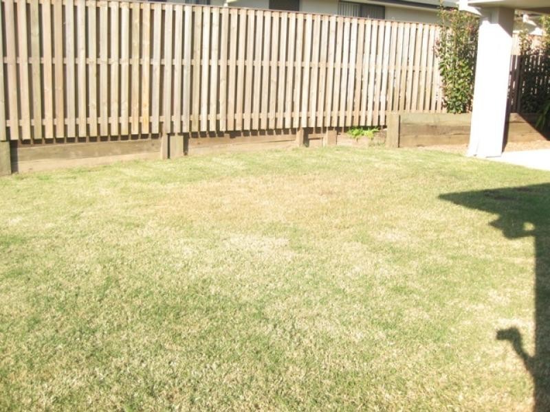 25 Hazelmere Crescent, Ormeau QLD 4208