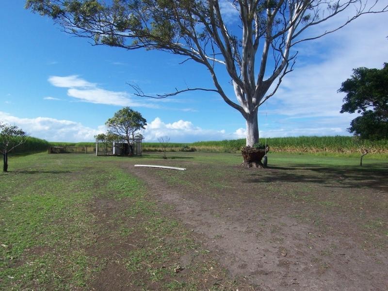 183 Norwell Road, Norwell QLD 4208