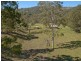 Cedar Creek QLD 4207