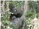 Cedar Creek QLD 4207