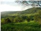 286 Shaws Pocket Road, Cedar Creek QLD 4207