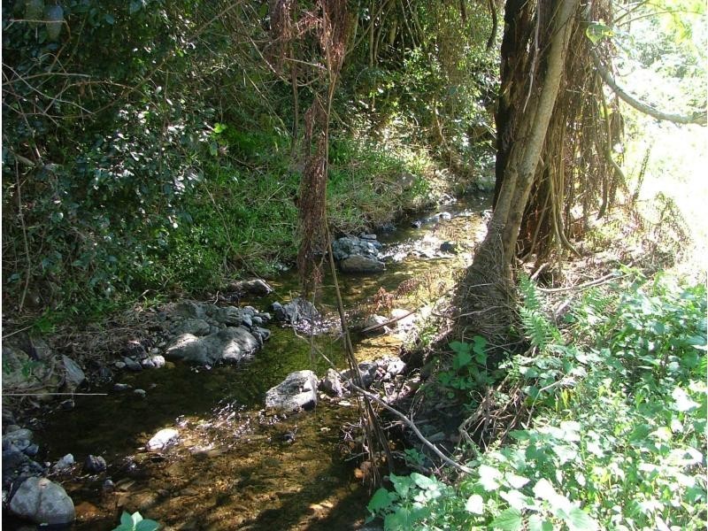 286 Shaws Pocket Road, Cedar Creek QLD 4207