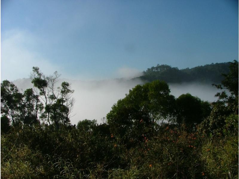 286 Shaws Pocket Road, Cedar Creek QLD 4207