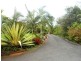 31 New Horizon Avenue, Bahrs Scrub QLD 4207