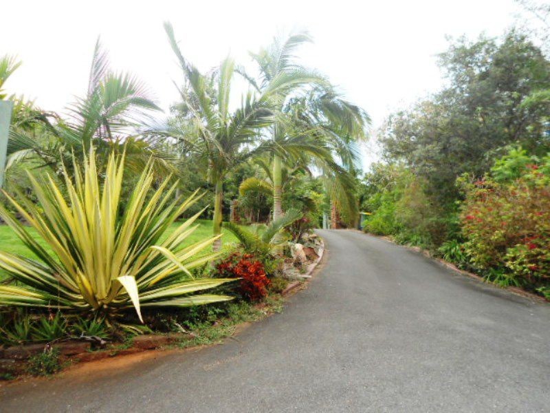 31 New Horizon Avenue, Bahrs Scrub QLD 4207