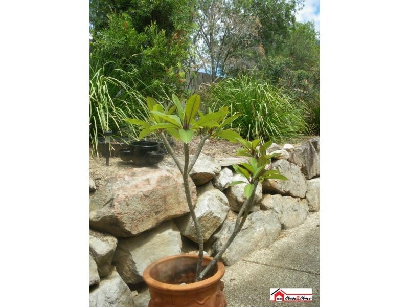 32 Blossom Street, Pimpama QLD 4209