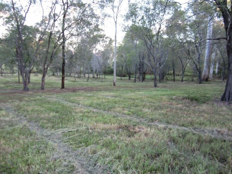 118 Barrenjoey Drive, Ormeau Hills QLD 4208
