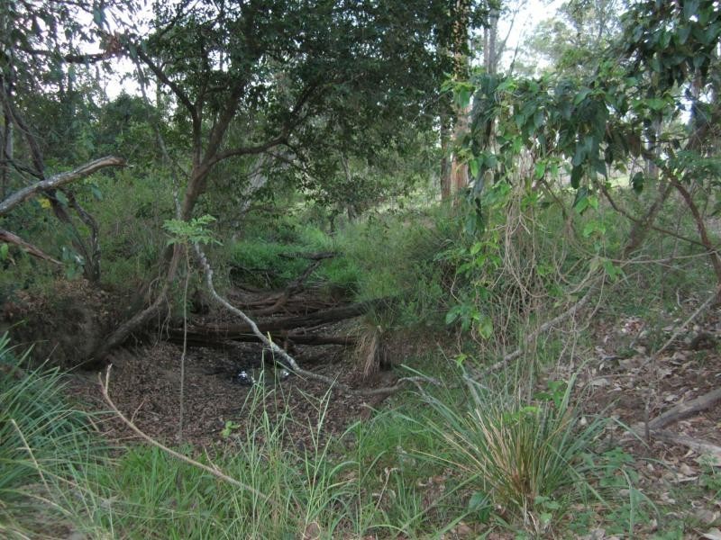 118 Barrenjoey Drive, Ormeau Hills QLD 4208