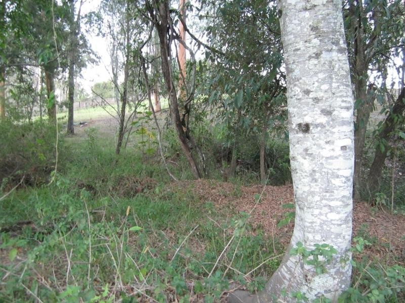 118 Barrenjoey Drive, Ormeau Hills QLD 4208