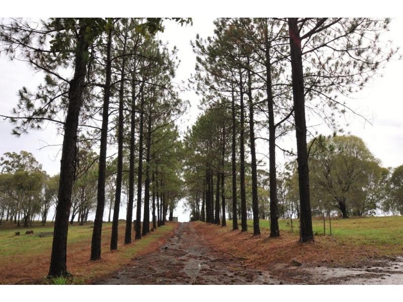 150 Eggersdorf Road, Ormeau QLD 4208