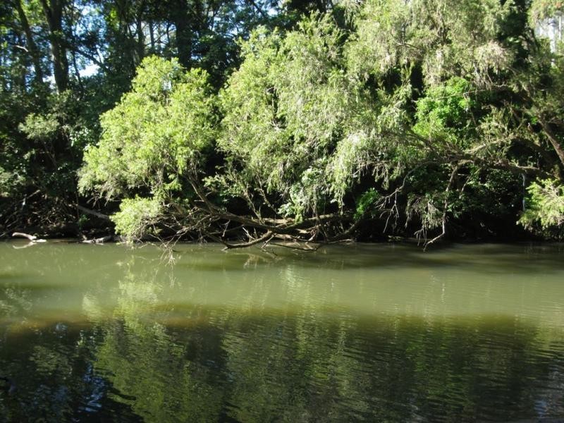 743 Plunkett Road, Cedar Creek QLD 4207