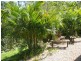 27 Waterclover Drive, Coomera Springs, Upper Coomera QLD 4209