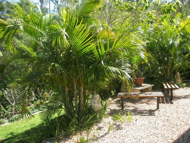 27 Waterclover Drive, Coomera Springs, Upper Coomera QLD 4209