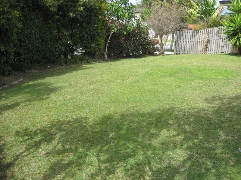 65 Conebush Circuit, Ormeau QLD 4208