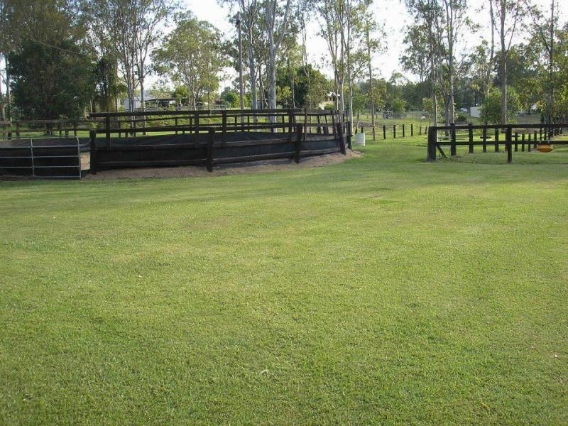 15 Needham Road, Cedar Creek QLD 4207